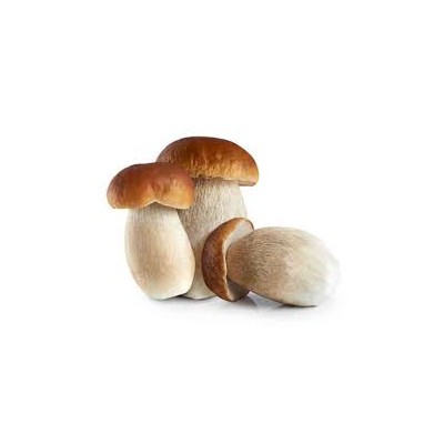 SETAS BOLETUS EDULIS ESTANDAR C/4 Kg.