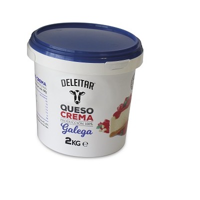 QUESO CREMA DELEITAR PROFESIONAL CB/2 Kg.